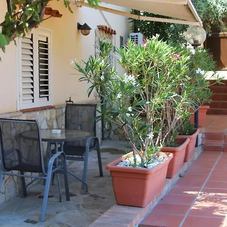 Mimosa * Cefalù